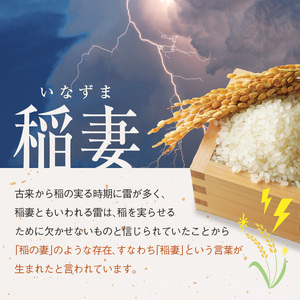 【栃木県共通返礼品・栃木県産】食味ランキング「特A」 こしひかり 20kg | 白米 精米 お米 ブランド米 栃木県 特産品 送料無料 下野市