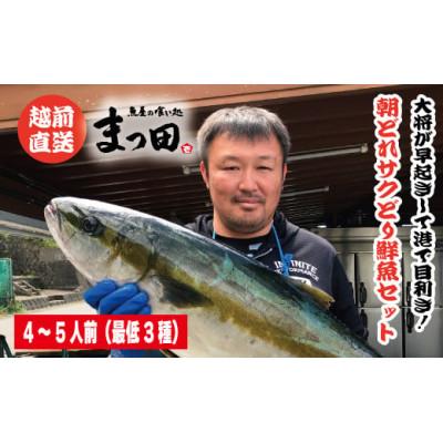 ふるさと納税 福井市 大将におまかせ!朝どれサクどり鮮魚4〜5人前 【4月〜10月発送】