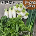 【ふるさと納税】ソルモンドの 冬野菜セット！3～5品 14袋◇ ＜野菜 野菜セット 野菜詰め合わせ 旬野菜 国産 京都 減農薬 ふるさと納税野菜＞ ※着日指定不可 ※北海道・沖縄・離島への配送不可