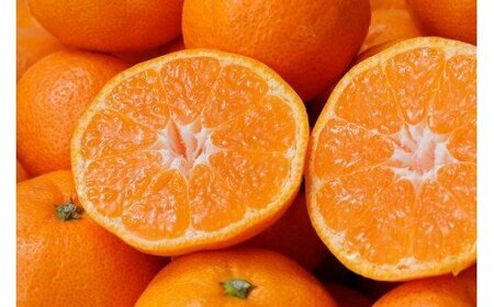 ＼光センサー選別／極 有田みかんプレミアム 5kg【糖度12度以上】2S～Mの小玉サイズ 有機質肥料100% ※2024年11月下旬頃～2024年12月下旬頃に順次発送予定 ※北海道・沖縄・離島への配