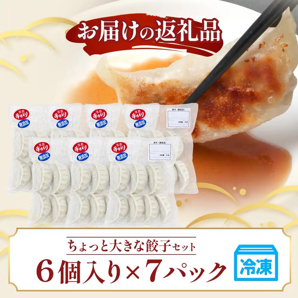 鹿児島県産 ひかり麦豚 ＼＼ちょっと大きな  餃子 42個セット／／ HM-707 | ぎょうざ ギョウザ 食べ応え抜群 焼き餃子 水餃子 おかず お弁当 冷凍 トレー無し 産地直送 鹿児島県 南大隅