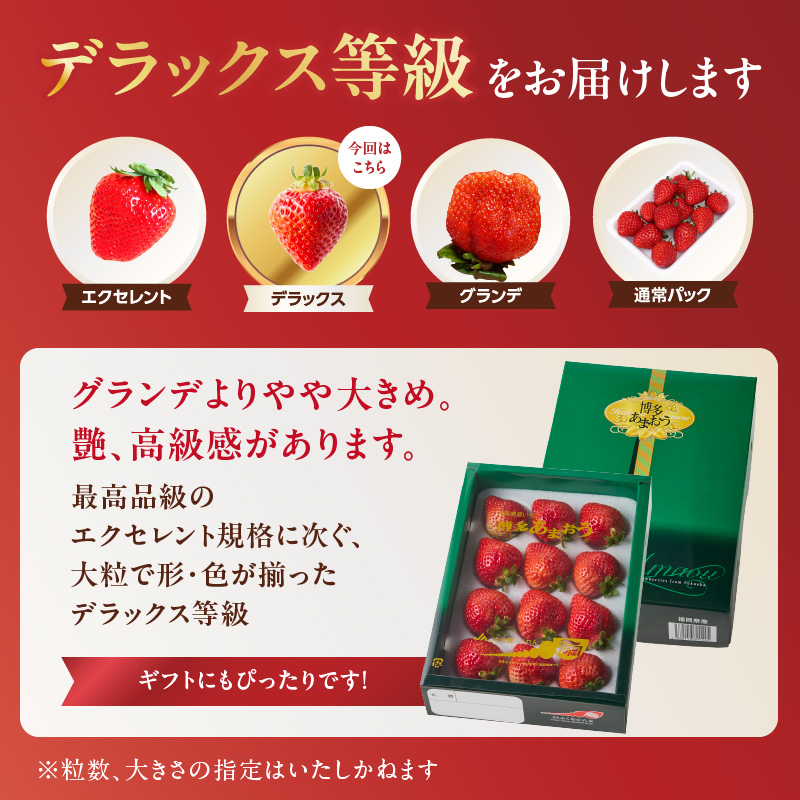 【2025年12月発送開始】博多あまおう350g（化粧箱）｜ＪＡふくおか八女 あまおう いちご 苺 イチゴ フルーツ 果物 くだもの 人気  旬 福岡県産 アフター補償 ギフト 化粧箱入り 贈答品 プ