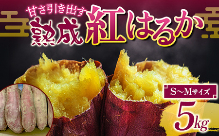 甘さ引き出す 熟成紅はるか 5kg さつまいも S～Mサイズ サツマイモ さつま芋 甘い おやつ 食品  F21T-471