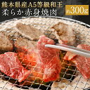 【ふるさと納税】熊本県産A5等級和王 柔らか赤身焼肉 約300g 和牛 赤身 焼き肉 お肉 精肉 九州産 国産 冷凍 送料無料