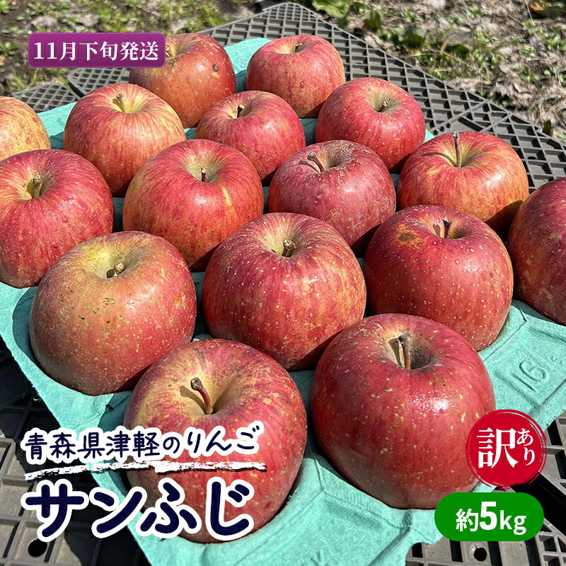 【ふるさと納税】【11月下旬発送】【訳あり】青森県津軽のりんご「サンふじ」約5kg【里いちみfarm】 　お届け：2025年11月20日～2025年11月30日