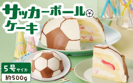 【いちごのバースデーケーキ】サッカーボールケーキ　スイーツ デザート 洋菓子 お取り寄せ 愛知県 小牧市 送料無料 誕生日ケーキ クリスマス お祝い デザイン デコレーションケーキ 日時指定可[125L03]