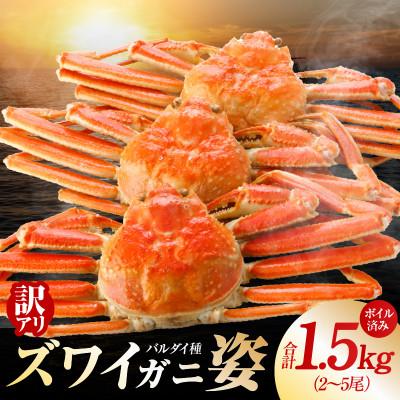 ふるさと納税 泉佐野市 バルダイ種 ズワイガニ姿 1.5kg(2〜5尾) ボイル済み 訳あり サイズ不揃い kgp0086