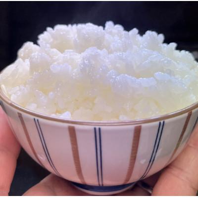 ふるさと納税 那須塩原市 那須山麓ミネラル米　人見農園のコシヒカリ(精米)3kg |  | 03