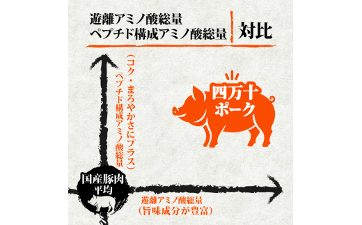 【定期便6回】四万十ポークスライス 計9kg（1.5kg×6ヶ月連続お届け) 2Iコース | 豚肉 豚バラ肉 小分け 小間切れ スライス 切り落とし 冷凍 真空パック 簡単調理 細切れ 大容量 肉 高