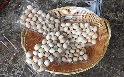 ≪先行予約≫2025年 山形県産 銀杏 むき実 L 約1kg（100g×10パック） 2025年10月中旬から順次発送 ぎんなん おつまみ 真空パック 個包装 小分け 秋 野菜 F20A-732