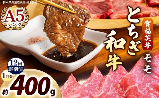 [定期便12回]宮福笑牛(とちぎ和牛) A5 モモ焼き肉 約400g｜数量限定 黒毛 和牛 お肉 栃木県共通返礼品 栃木県産