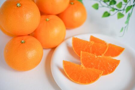 お試し規格 柑橘の大トロ ハウス せとか 厳選 小玉 3玉入 手さげ箱 × 8箱 南泰園 和歌山 有田