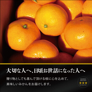 【三つ星ブランド】星乃みかんプレミアムシリーズ(5kg)【C45-84】【1454778】