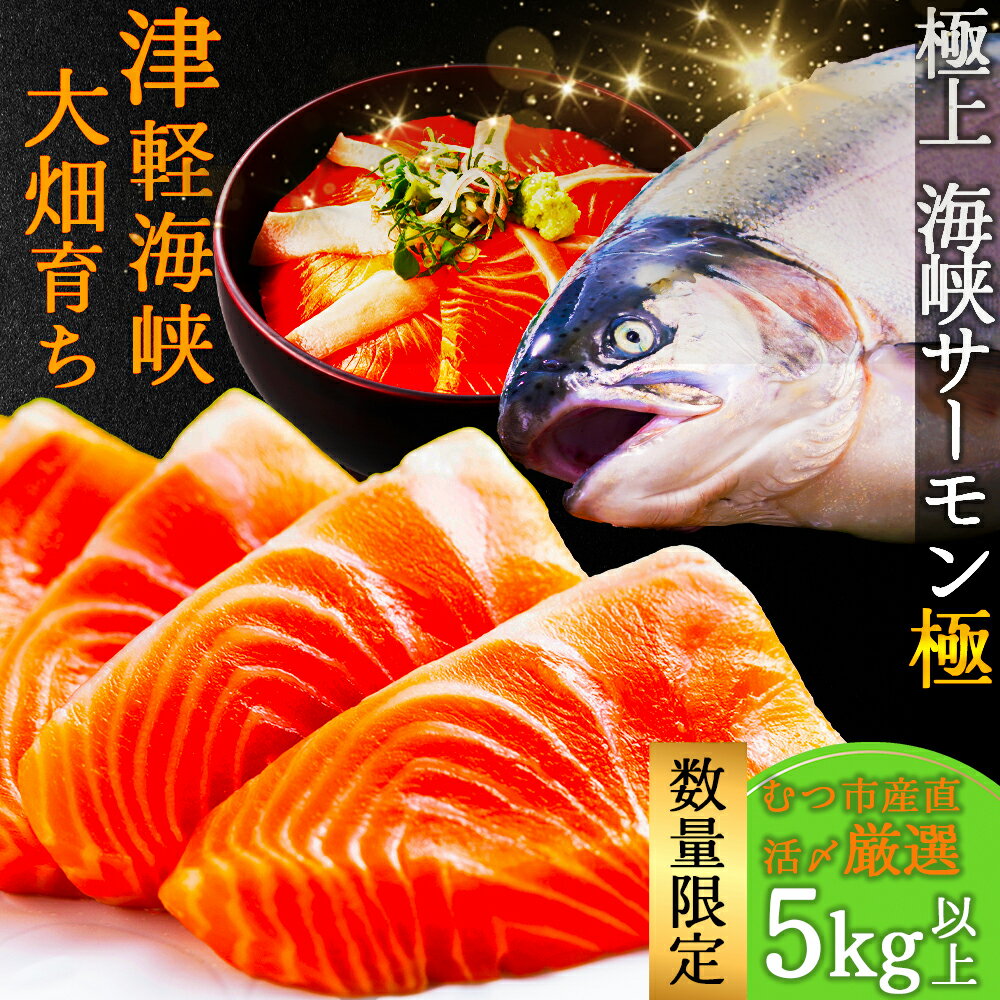 【ふるさと納税】極 活〆海峡サーモン5.0kg以上(冷蔵)【配送不可地域：離島】サーモン 鮭 さけ サケ 海鮮