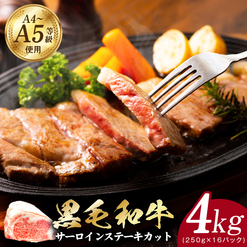 A5/A4ランク 黒毛和牛 サーロインステーキカット 合計4kg（250g×16P）【極味付け肉】 CFX0062