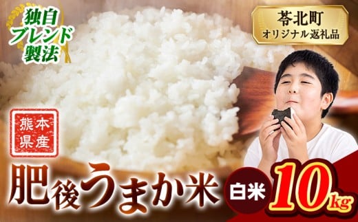 米  熊本県産 肥後うまか米 10kg(5kg×2袋) 白米 《7-14日以内に出荷予定(土日祝を除く)》精米 こめ  コメ お米 おこめ ブレンド米熊本県産  コメ お米 おこめ