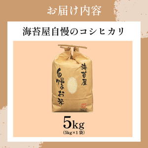 お米 コシヒカリ 5kg 令和7年産 米 こめ 海苔屋の米 米 米