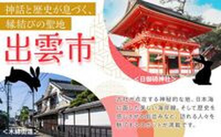 【出雲市】JTBふるさと旅行クーポン（30,000円分）有効期間3年（Eメール発行）｜予約 宿泊 観光 体験  温泉 ホテル 旅館 チケット 子供 子連れ カップル 家族 店頭 オンライン ネット 電