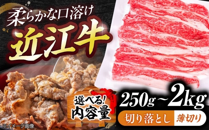 
                  【選べる容量】近江牛切り落とし（薄切り）250g~2kg  / 牛肉切り落とし 和牛 国産 栗東市 切り落とし肉 滋賀県 近江牛牛肉 近江牛肉 切り落とし牛肉 切り落とし近江牛 近江牛 和牛切り落とし 和牛近江牛 国産牛肉 国産切り落とし 栗東市牛肉 ぎゅうにく 近江ぎゅう おうみ牛 牛肉 近江牛 近江 牛 切り落とし 滋賀県産 牛 肉 カレー / 栗東市 / 有限会社 岡山[BIBE052]
                