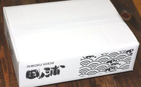 あじ 干物 開き 20枚 アジ 鯵 国産 真アジ 真あじ 冷凍 ひらき ひもの 干し 干し魚 魚介類 魚 海鮮 魚介 セット アジの干物 個包装 ギフト 贈り物 贈答用 高知県 黒潮町［1511-2］