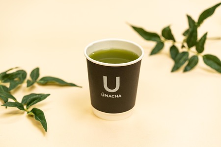 【ORGANIC TEA】No.8 オーガニック抹茶　55P5709