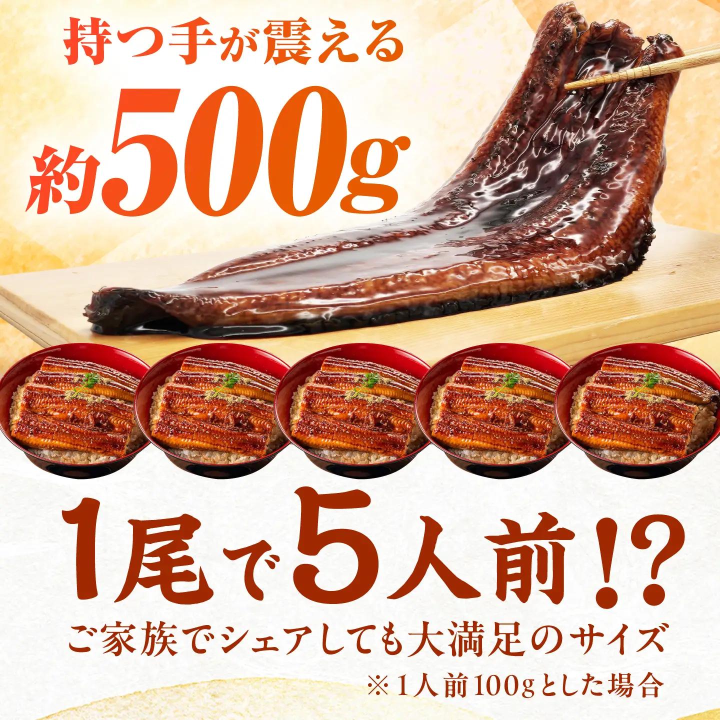 【新登場】 うなぎの蒲焼 2尾(1尾約500g) [AFBS032-CP]