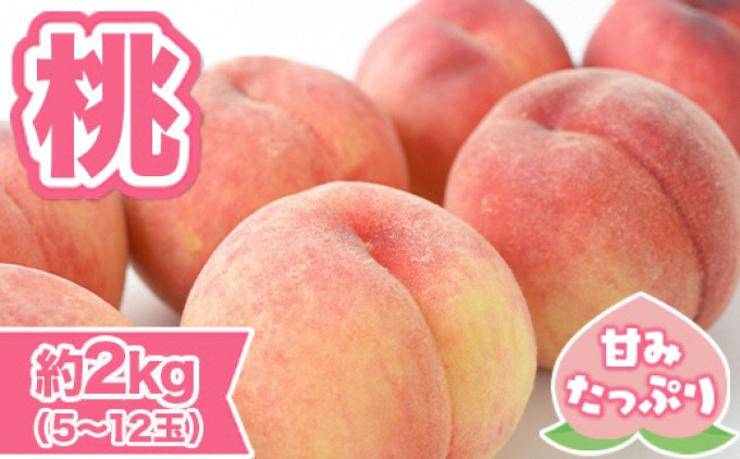 
            桃 先行予約 錦町産 約2kg 5玉～12玉 6月より順次出荷 もも モモ フルーツ 果物 デザート 配送不可：離島
          