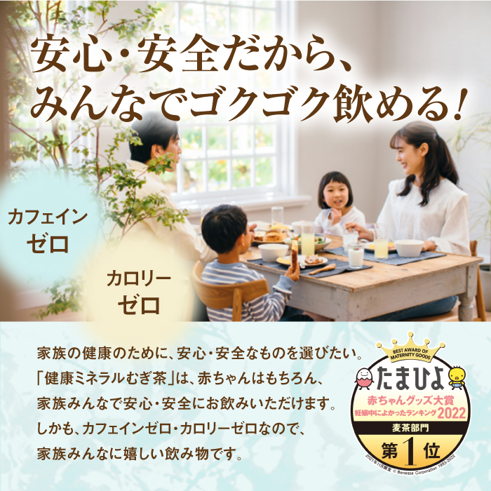 『定期便：全5回』健康ミネラルむぎ茶2L×6本×2箱【500018】