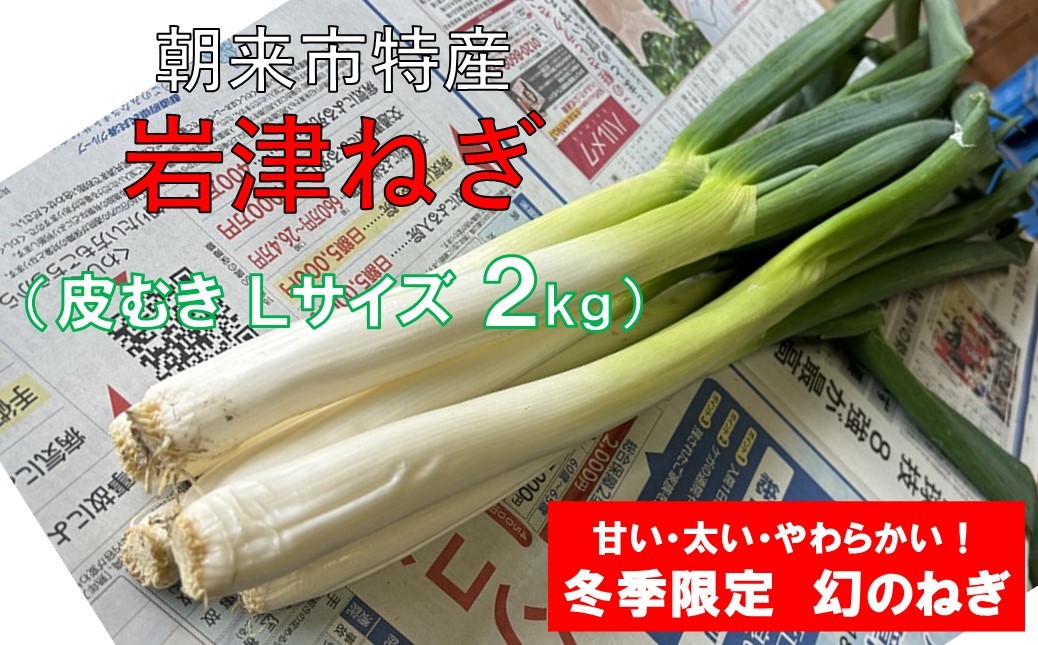
            【先行予約】朝来市特産 岩津ねぎ 皮むき Lサイズ 2kg（箱入り）【AGRI CREW 株式会社】 岩津ねぎ 岩津ネギ 日本農業遺産 新鮮 国産 甘い 太い 柔らかい 香り豊か 冬季限定 幻のねぎ 天ぷら 鍋 焼きねぎ ネギ ねぎ すき焼き 朝来市 限定 TVで紹介
          