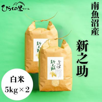 ふるさと納税 南魚沼市 【R8年産新米予約】きらめく大粒!ひらくの里ファームの南魚沼産新之助　白米5kg×2