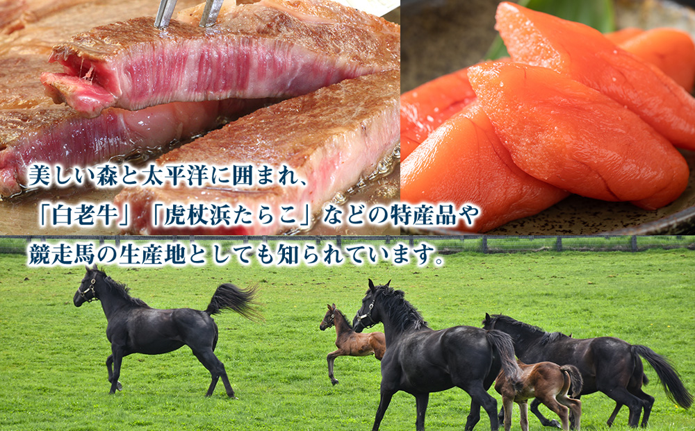 北海道 白老町☆応援寄付金☆5,000円【返礼品なし】【QQ003】