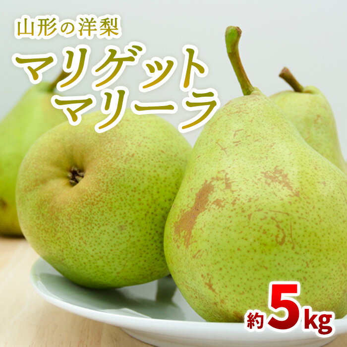 【ふるさと納税】山形の洋梨 マリゲットマリーラ 秀品 約5kg(7〜15玉) 【令和7年産先行予約】FS23-863くだもの 果物 フルーツ 山形 山形県 山形市 お取り寄せ 2025年産