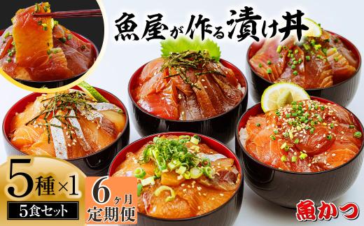 【6ヶ月 定期便】漬け丼 5種×1パック 計5食セット  | 漬け丼 定期便 海鮮 惣菜 冷凍 真空パック 小分け 海鮮丼 海鮮セット 詰め合わせ 旬の鮮魚 ハマチ カンパチ カツオ 鯖 サバ ヒラマサ 平政 マグロ アジ ヒラメ 鯛 漬け づけ丼 お茶漬け ごはん 山口県 宇部市
