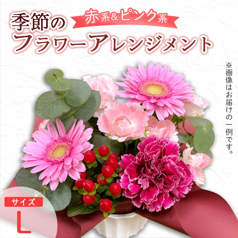 季節のフラワーアレンジメント（L/赤・ピンク系） | 花 お花 生花 フラワー フラワーアレンジメント 花束 お祝い 赤 ピンク 赤系 配送地域限定 京都府 綾部市