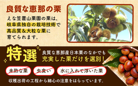 【先行予約】【2025年9月下旬から12月下旬に順次発送】冷凍むき栗「日本栗」 計500g（250g×2P）[AUAV005]むき栗