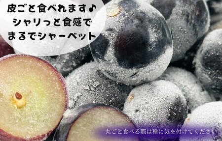 冷凍 種あり 巨峰 約1kg 秀優混合 サイズミックス 和歌山県産 産地直送 ぶどう クール便  【みかんの会】