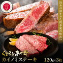 【ふるさと納税】【GI認証】くまもとあか牛カイノミステーキ 120g×3枚 食品 グルメ 人気 お取り寄せグルメ うし 牛肉 カイノミ あか牛 ステーキ 牛