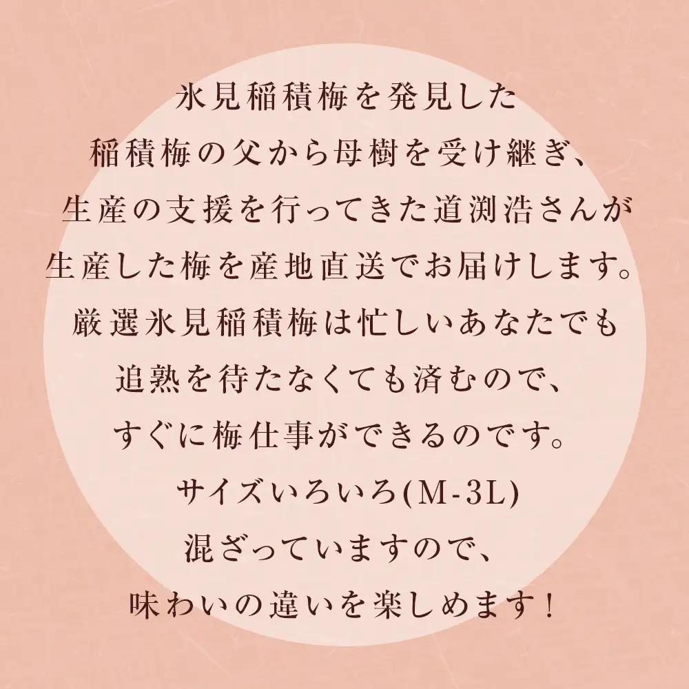 【先行受付】氷見稲積梅 生梅 梅MIX サイズいろいろ ＜2026年6月下旬発送予定＞ 富山県 氷見市 梅  青梅 うめ 手作り 梅干し 梅干 梅シロップ 梅酒づくり 梅仕事