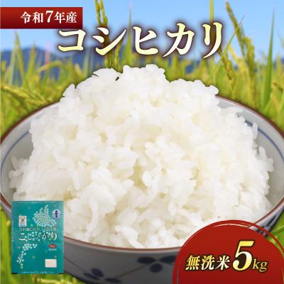 ふるさと納税 彦根市 令和7年産新米コシヒカリ白米無洗米5kg 粘り、甘み、香りの絶妙なバランス