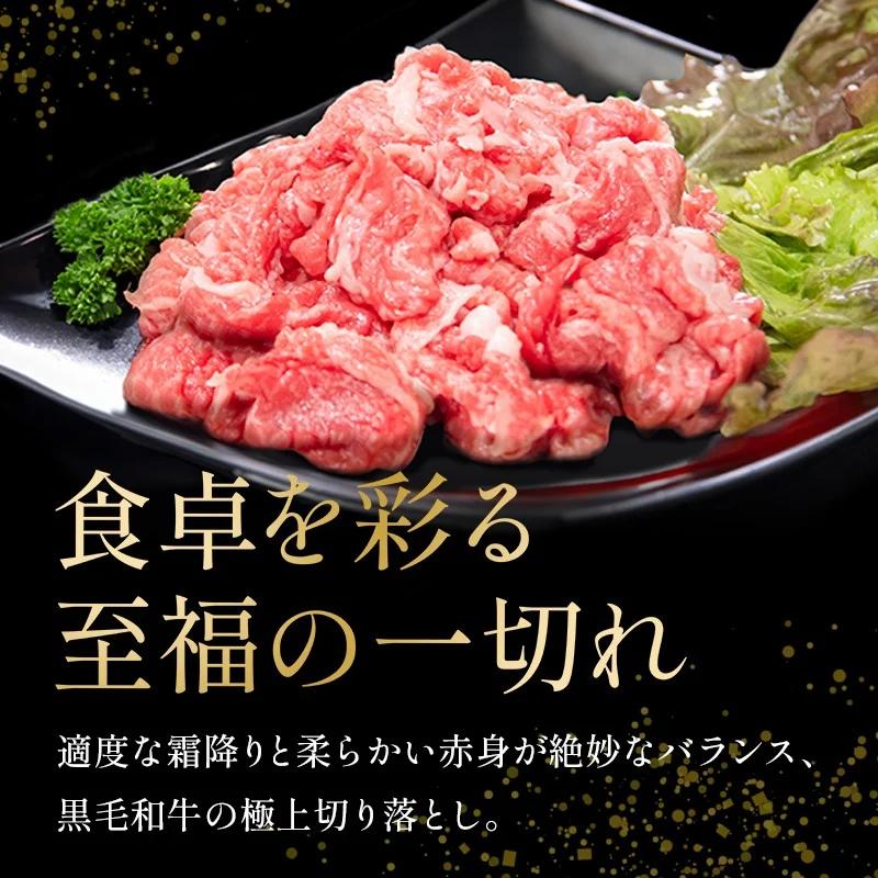 牛肉 切り落とし 1kg A4ランク以上 黒毛和牛 国産 和牛 阿波牛 牛 うし ビーフ 肉 モモ バラ A4 A5 焼き肉 しゃぶしゃぶ すき焼き 焼肉 BBQ アウトドア おかず ごはん 米 ご飯