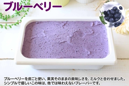 604.アイスクリーム ブルーベリー ジェラート ベリー 業務用 2リットル 2L アイス 大容量  手作り 北海道 弟子屈町