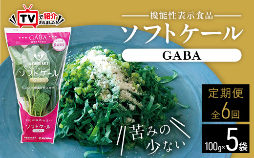 
            ＜毎月定期便＞TV紹介で大好評 ソフトケール 100g×5袋 健康 腸活応援 スムージー 全6回【4003775】
          