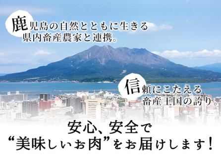 和牛日本一！＜鹿児島黒牛＞ウデスライスセット1.2kg b8-014