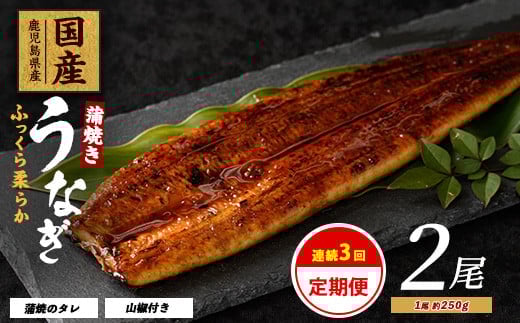 
            【全３回定期便・連続お届け】鹿児島県産 うなぎ 蒲焼 じっくり焼き約250g×2尾(大新/Z060-1696) 鰻 蒲焼 国産 丑の日 うな重 無頭 ギフト ふっくら 小分け レンジ 簡単 頒布会 小分け うな丼 ウナギ 冷凍
          