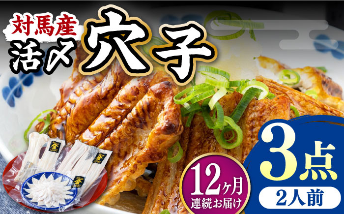
                  【全12回定期便】対馬産 活〆 穴子 ３点 セット B【THE・対馬株式会社】《対馬市》新鮮 あなご 刺身 天ぷら 海鮮 肉厚 簡単調理 二人前 [WAS011]
                