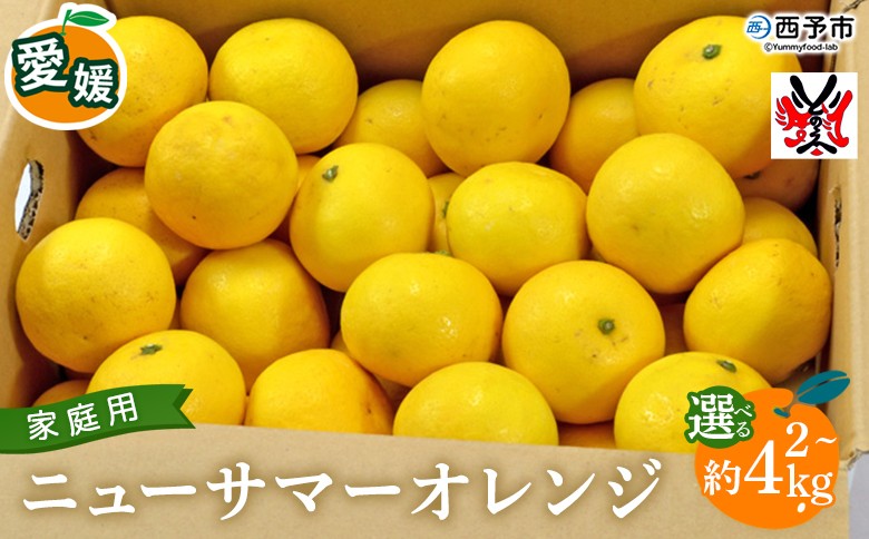 
                  ＜愛媛県西予市産 ニューサマーオレンジ 家庭用 約2kg/約4kg＞ 訳あり ワケアリ ご自宅用 果物 フルーツ ミカン 柑橘 日向夏 特産品 選べる 内容量 渡江から一歩を踏み出す会 愛媛県 西予市 【常温】『2026年4月～5月迄に順次出荷予定』
                