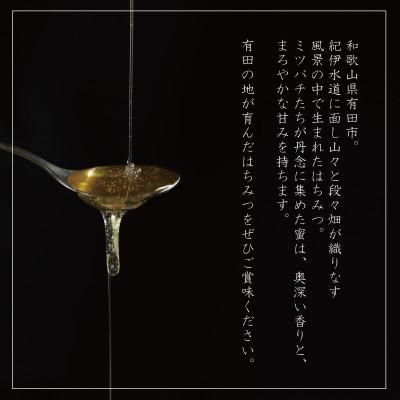 ふるさと納税 有田市 山花のはちみつチューブボトル300g3本 |  | 02