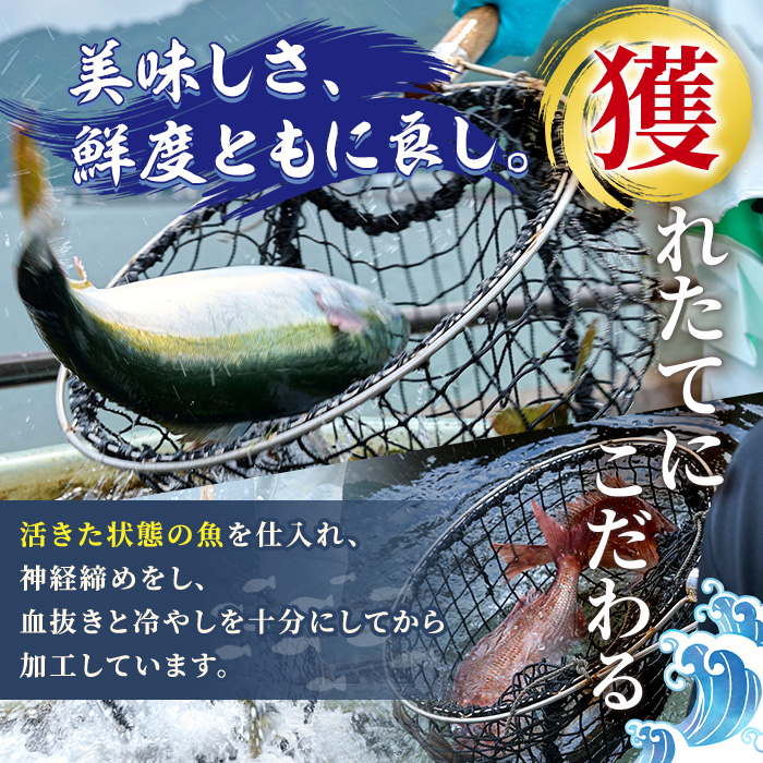 ＜先行予約受付中！2025年4月以降順次発送予定＞さいき桜サーモン 刺身用 ブロック(350g以上)【AS143】【海べ (株)】
