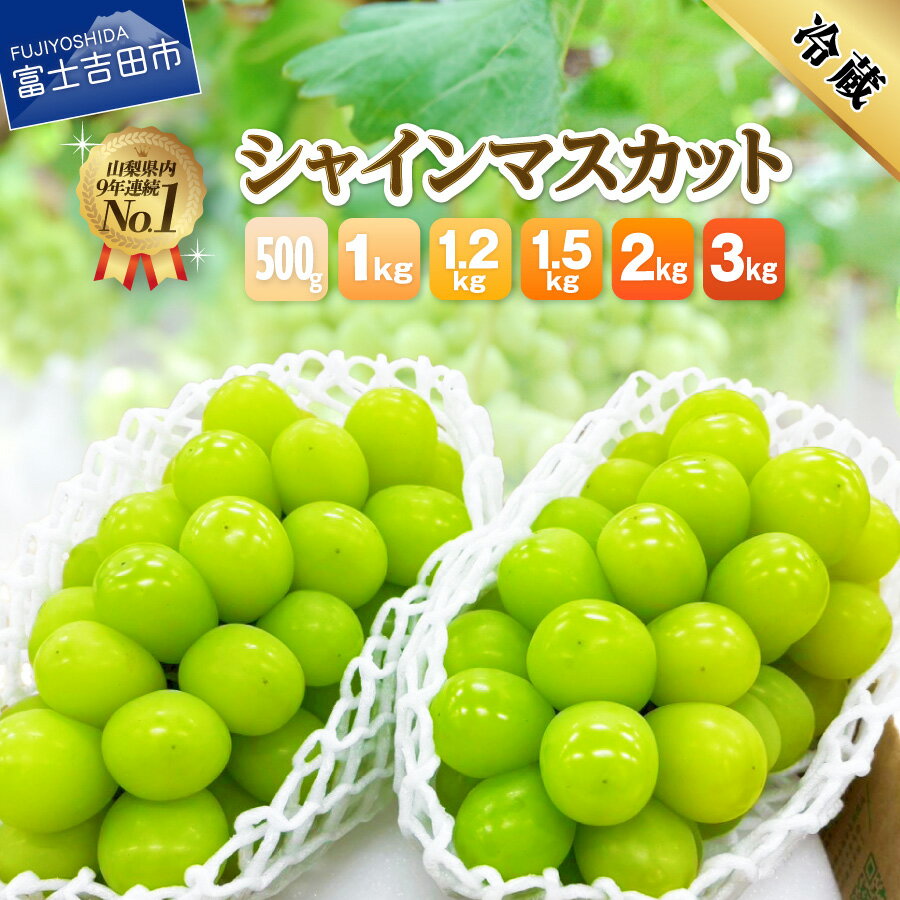山梨県 シャインマスカット お楽しみセット 2房1kg