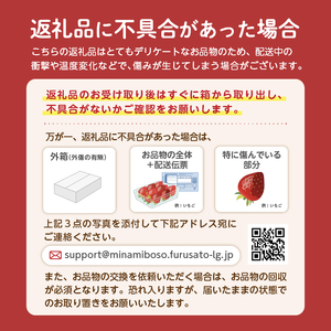 【2025年8月中旬～12月20日発送予定】南房総の冷凍ブルーベリー 250g×4パック mi0026-0002 完熟 ﾌﾞﾙｰべﾘｰ 南房総 里山 自然 冷凍 ﾌﾙｰﾂ 果物